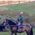 Jody Maxwell's profile image