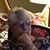 Maureen Gates Davis Bruce's profile image