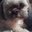 Kristin Brantley's profile image