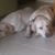 Rumy Ivanova's profile image