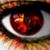 Donna Kingery's profile image