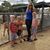 Chrystal Adamson's profile image