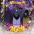 Annmarie Freitas's profile image