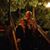 Deborah Torcello Watters's profile image