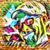 Amê Ricano Franco's profile image