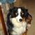 Angie McClain Young's profile image