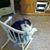 Judy Hedrick's profile image