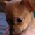 Wendy Wickham's profile image