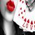 Blanca Lopez Sauceda's profile image