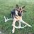 Krista Subler's profile image