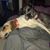 Lisa Holland-Dill's profile image