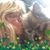 Kathy J. Burns's profile image