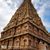 Sankar Elangovan's profile image