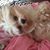 Lillian Vinagre's profile image