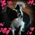 Janalynn Matuszewski Anderson's profile image