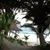 Susan Symington's profile image