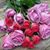 Cristina Banegas's profile image