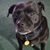 Linda West Ramsour's profile image