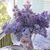 Rose A Palombo's profile image