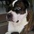 Marylou Tag-at Latorre's profile image