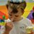 Mary Frances Cvetas's profile image