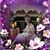Kellie Ford Knickrehm's profile image