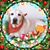 Donna Reddoch-Jordan's profile image