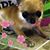 Wanda Conklin's profile image