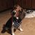Patty Puttman Coomes's profile image