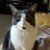 Janet Meddings's profile image
