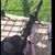 Scott Miller's profile image