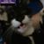 Rosie Northeast's profile image