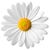 Candace Jenkins's profile image