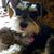 Linda Sue Pennington Ingram's profile image