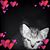 Samuel Æ Love's profile image