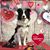 Lois Friedman's profile image