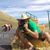 Duane Boschee's profile image