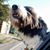 Herb Seabolt's profile image