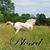 Catherine Anne Frend Gillihan's profile image