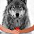 Jackie McCleary's profile image
