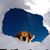 Tim Arnold's profile image