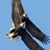 Brad Wegener's profile image