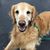 Cindy Burrows's profile image