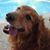Sinikka Dickerson's profile image