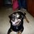 Sharon James's profile image