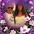 Doris Aughe Gentzler's profile image