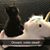 Annie Holshouser's profile image