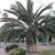 Janice Morrin's profile image