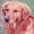 Karen Overholt's profile image