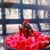 Sindhu Pillai's profile image